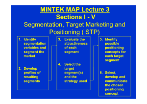 Segmentation, Target Marketing and Positioning ( STP) MINTEK