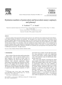 Hydration numbers of pentavalent and hexavalent uranyl, neptunyl