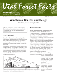 Windbreak Benefits and Design - Utah State University Extension