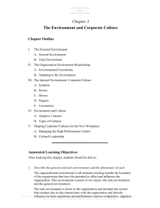 Chapter 3 The Environment and Corporate Culture