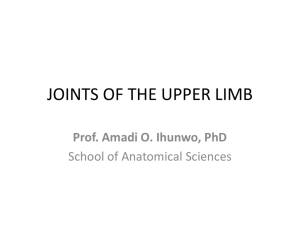JOINTS OF THE UPPER LIMB