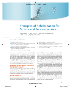 Chapter 8: Principles of Rehabilitation for Muscle and Tendon Injuries