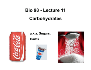 Bio 98 - Lecture 11 Carbohydrates