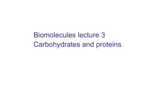Biomolecules lecture 3 Carbohydrates and proteins