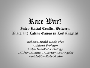 Race War? Conflict Between Black and Latino Gangs in Los Angeles