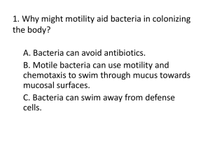 1. Why might motility aid bacteria in colonizing the body?