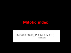 Mitotic index