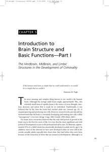 Introduction to Brain Structure and Basic Functions—Part I