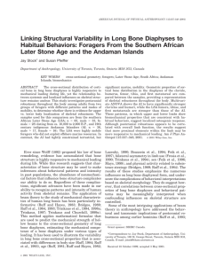 Linking Structural Variability in Long Bone Diaphyses to Habitual