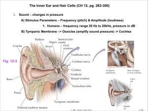 The Inner Ear and Hair Cells (CH 12, pg. 283-300) Fig. 12-3