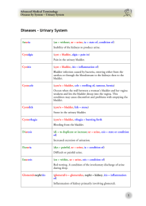 Diseases - Urinary System
