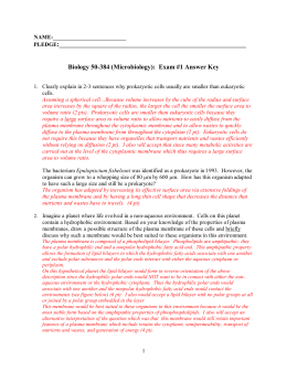 answer key for microbiology practice test Study flashcards on test 3 chapter 18 microbiology at cramcom quickly memorize the terms, right/left arrow keys: this is review from last test. answer key for microbiology practice test Study flashcards on test 3 chapter 18 microbiology at cramcom quickly memorize the terms, right/left arrow keys: this is review from last test.