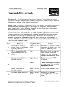 Ovarian and Uterine Cycle - VCC Library