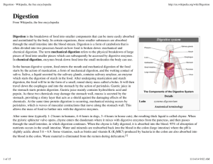 Digestion - Wikipedia, the free encyclopedia