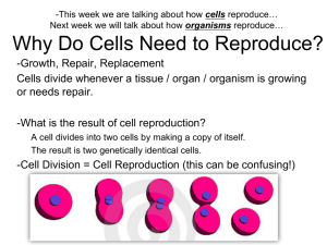 Why Do Cells Need to Reproduce?
