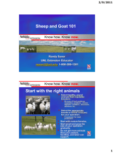 Sheep and Goat 101 Start with the right animals