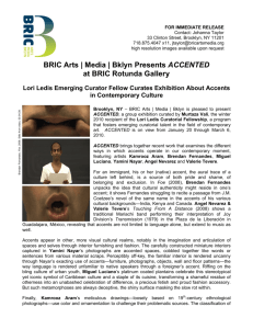 BRIC Arts | Media | Bklyn Presents ACCENTED at BRIC Rotunda