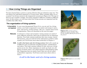 2.2 How Living Things are Organized