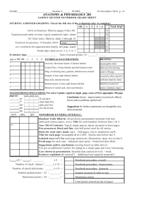 Sample Second Notebook Grade Sheet