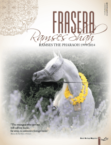 Frasera Ramses Shah - Desert Heritage Magazine