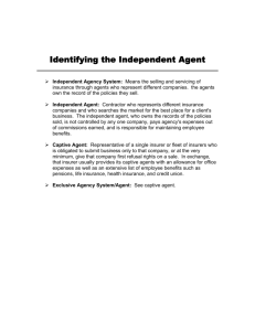 Identifying the Independent Agent
