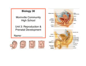 Biology 30 Morinville Community High School Unit 3: Reproduction