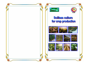 D15. Soilless culture for crop production (CLAC)