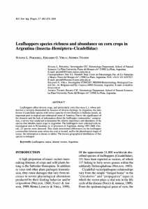 Leafhoppers species richness and abundance on corn crops in