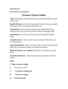 Persuasive Speech Outline