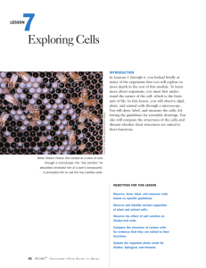 Lesson 7: Exploring Cells