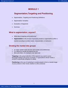 Segmentation,Targeting and Positioning