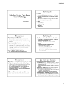 Pathology Review Flash Cards General Pathology Cell Injury and