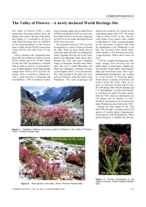 The Valley of Flowers – A newly declared World Heritage Site