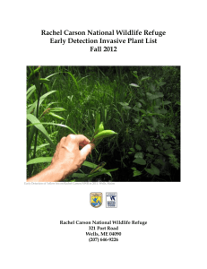 Rachel Carson National Wildlife Refuge Early Detection Invasive