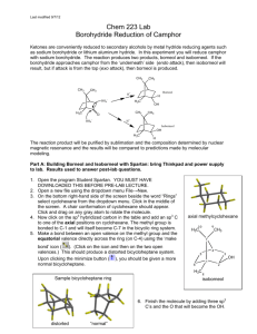 Chem 223 Lab Borohydride Reduction of Camphor