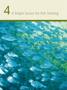 A bright future for fish farming