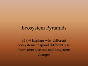 03. Ecosystem Pyramids