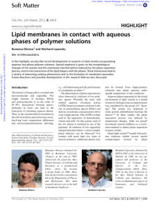 Lipid membranes in contact with aqueous phases of polymer solutions