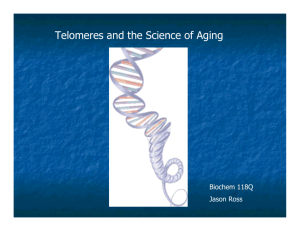 Telomeres and the Science of Aging