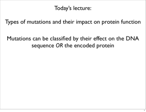 how mutations affect gene function