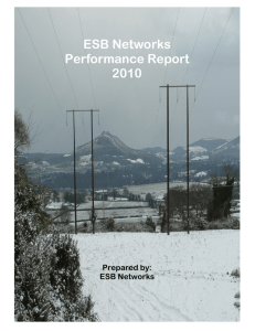 ESB Networks Performance Report 2010