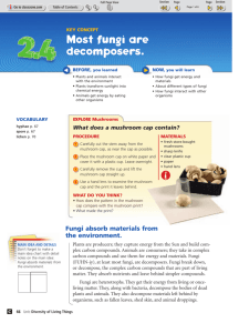 Most fungi are decomposers.