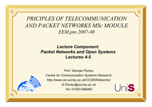 PRICIPLES OF TELECOMMUNICATION AND PACKET NETWORKS