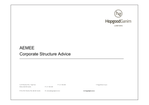 AEMEE C S Corporate Structure Advice