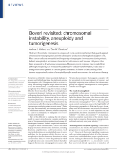 Boveri revisited: chromosomal instability, aneuploidy