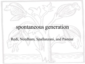 spontaneousgeneration