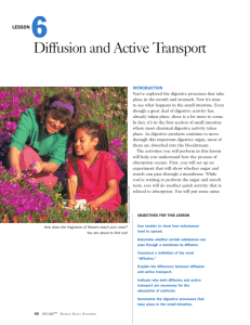 Lesson 6: Diffusion and Active Transport