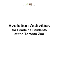 Evolution Activities