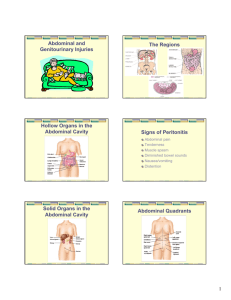 Abdominal and Genitourinary Injuries The Regions Hollow Organs