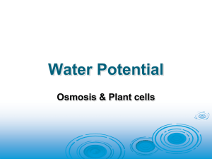 36 - Water Potential